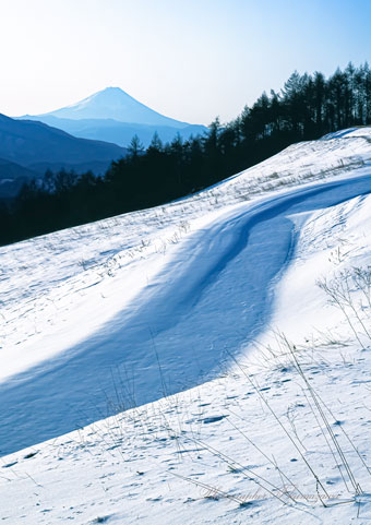 19930131-makibakoen6913t